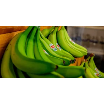 Green Banana  (5)-652468-42705.webp